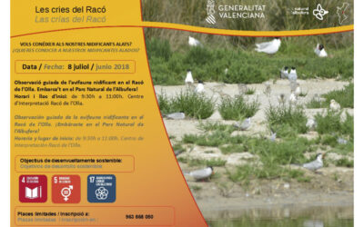 Jornada Familiar en el Racó de l’Olla