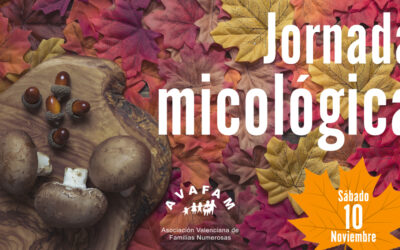 Jornada Micológica Familiar en Mora de Rubielos