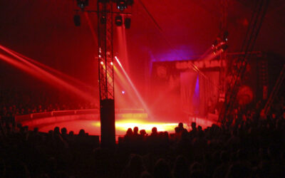 Espectacular Gala exclusiva para familias de AVAFAM