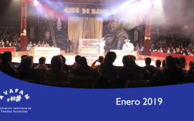 Boletín Enero ’19