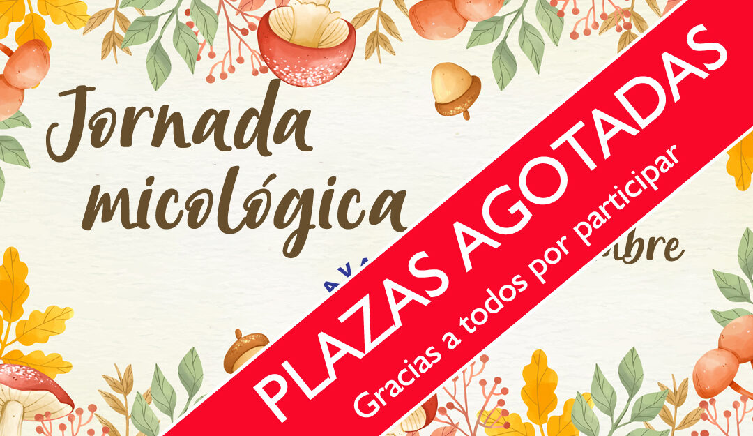 Jornada Micológica Familiar en Mora de Rubielos 2019
