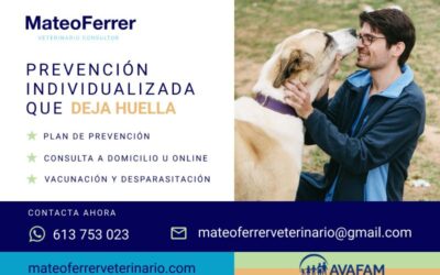 Aprovecha el 10% de descuento en la consulta veterinaria a domicilio