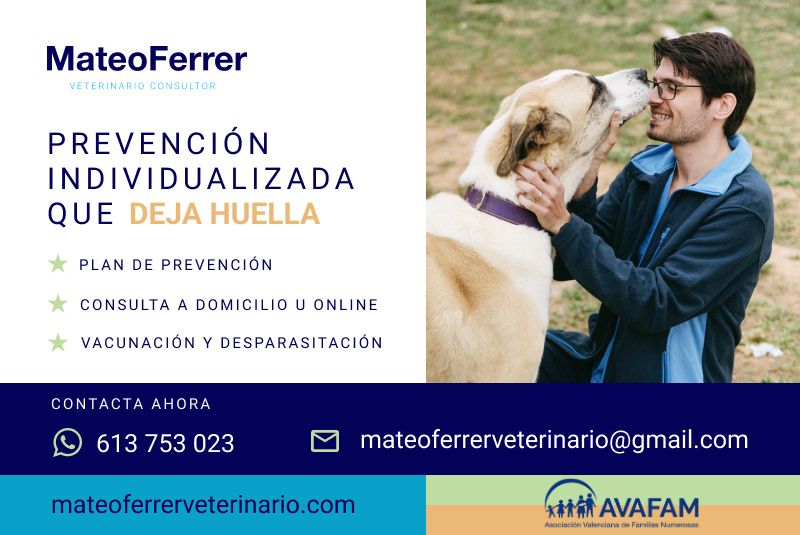 Aprovecha el 10% de descuento en la consulta veterinaria a domicilio